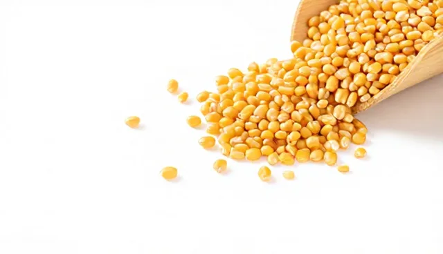 优质粮食种子渠道供货中的农机使用问题及应对策略