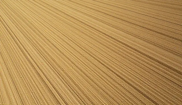 种苗供应场景中的适用情况与限制分析